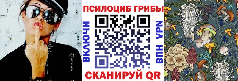 ОМГ ОМГ зеркало  Красноармейск  Галлюциногенные грибы MAGIC MUSHROOMS  закладка 